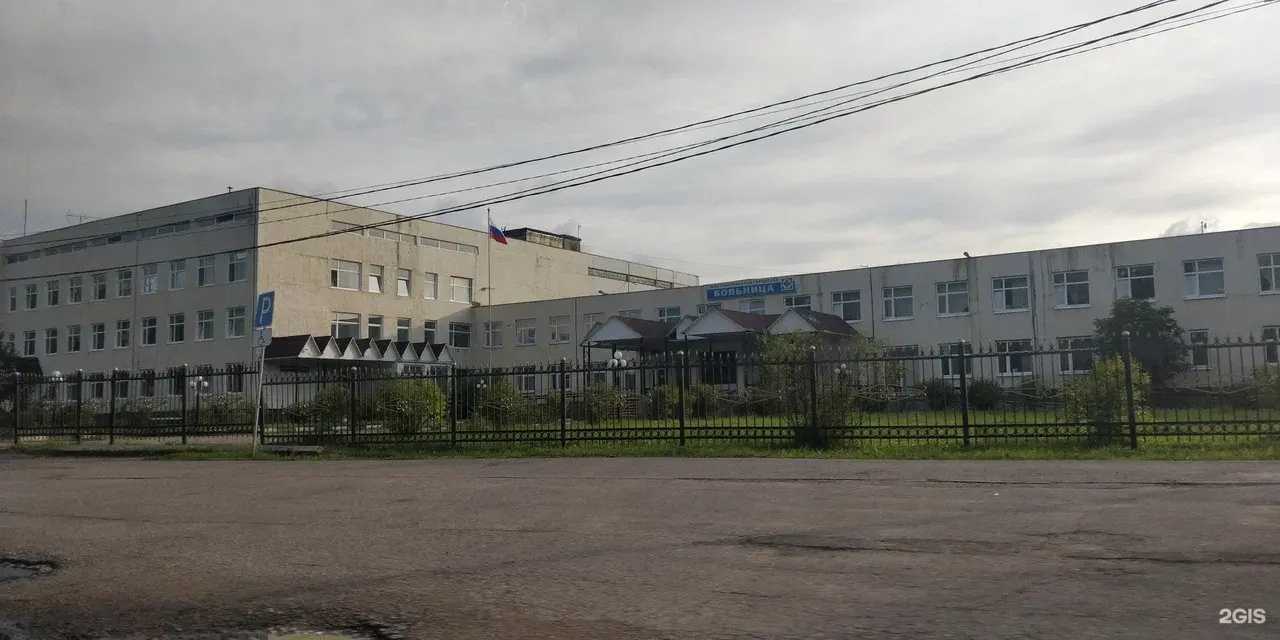 Отзывы на компанию Взрослая поликлиника в Электроугли c фото