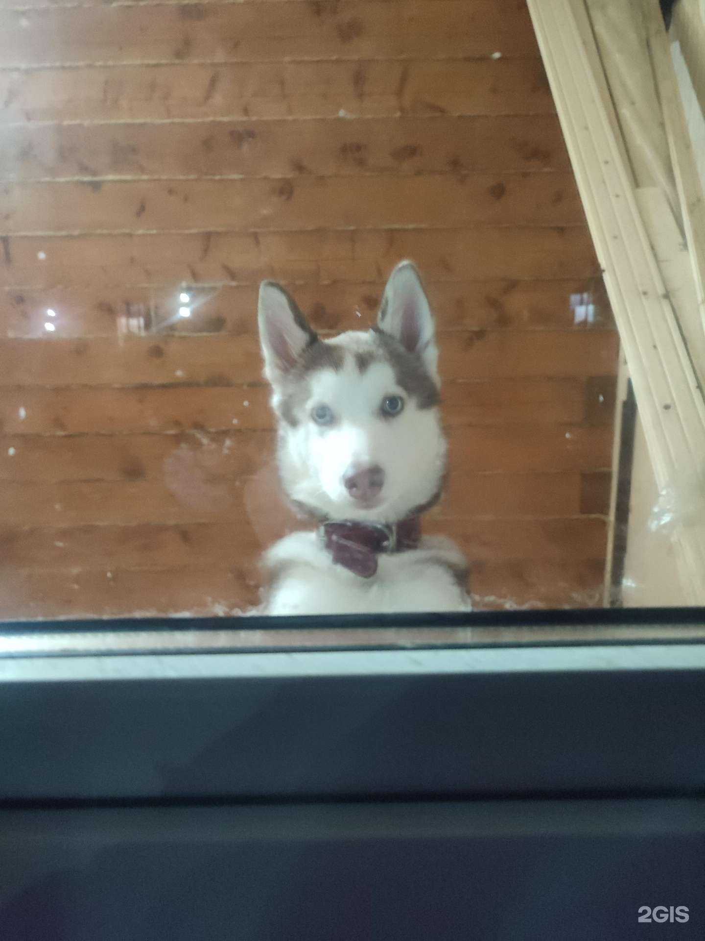 Отзывы на компанию Ветеринарный участок в Уфе c фото