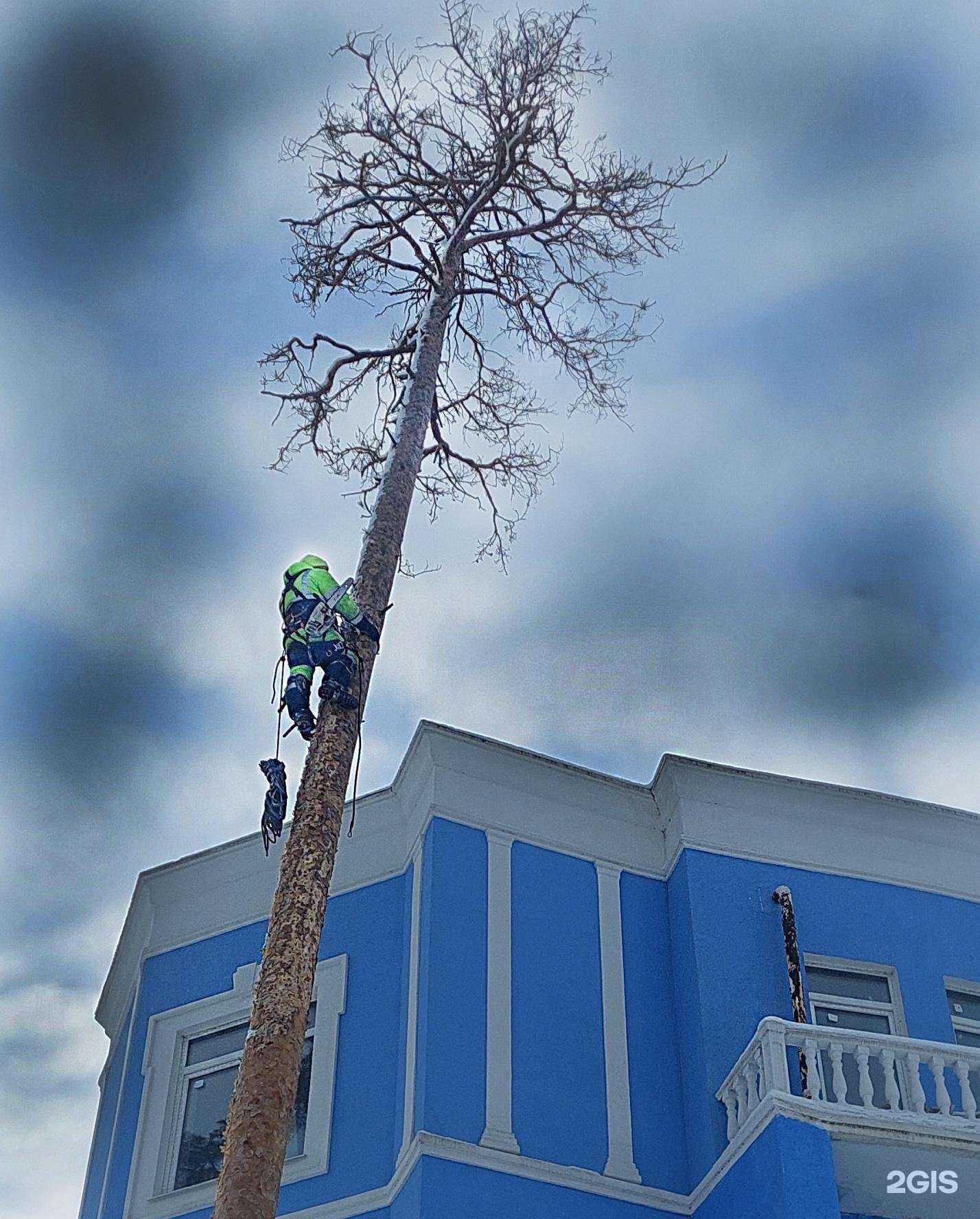Отзывы на компанию ЗеленГрад в Тольятти c фото