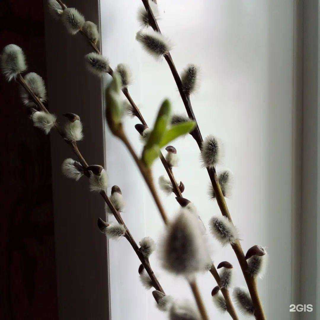 Отзывы на компанию Самарский вернисаж в Самаре c фото