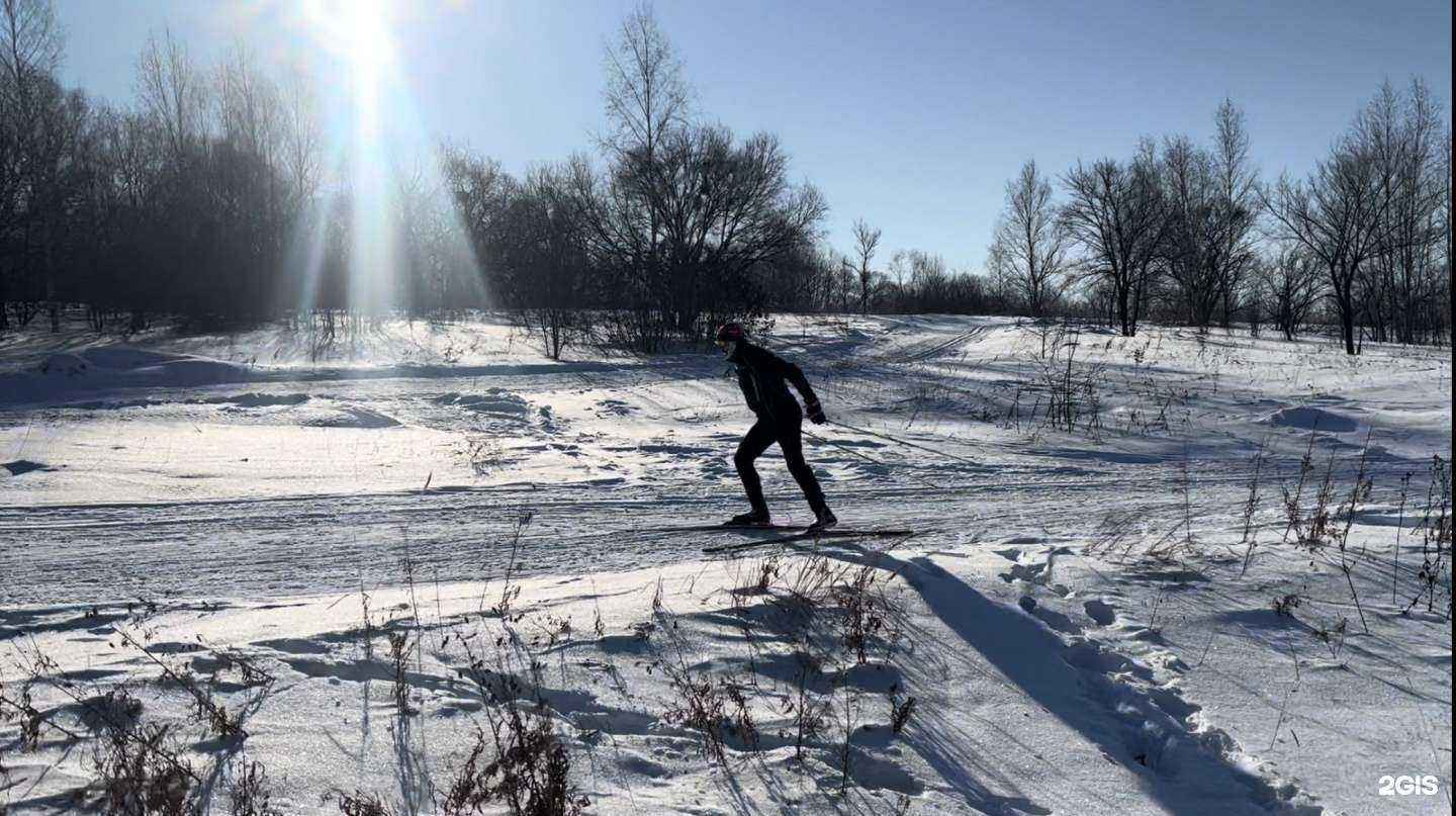 Отзывы на компанию Пункт проката беговых лыж в Хабаровске c фото