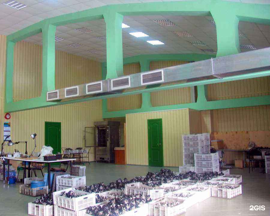 Отзывы на компанию Явва в Ульяновске c фото