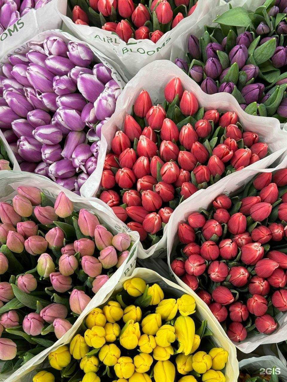 Отзывы на компанию Flamingo Flowers в г. Сургут c фото