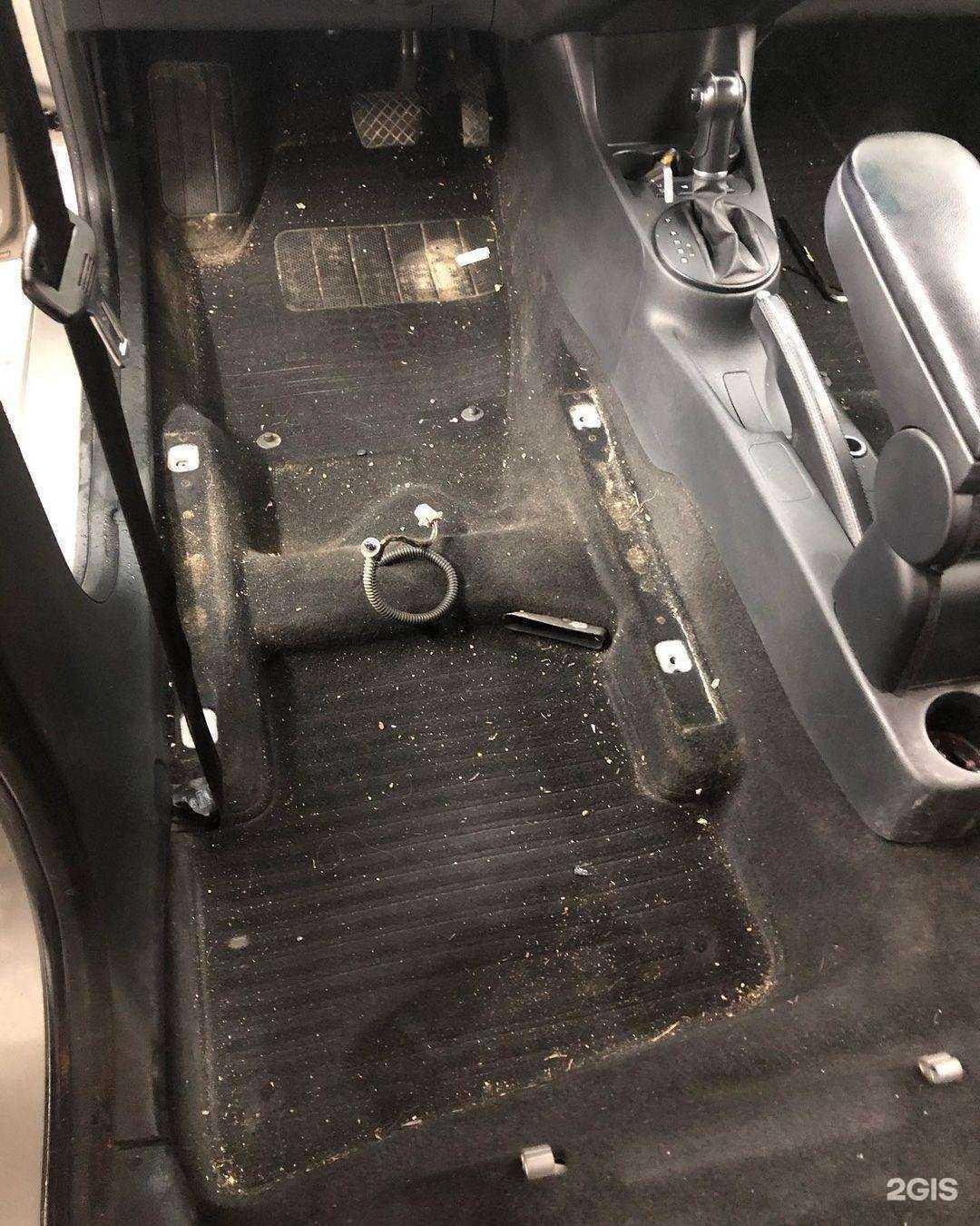 Отзывы на компанию New Car в Ставрополе c фото