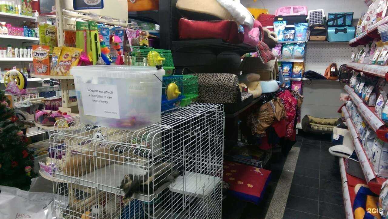 Отзывы на компанию Ветгид в г. Тольятти c фото