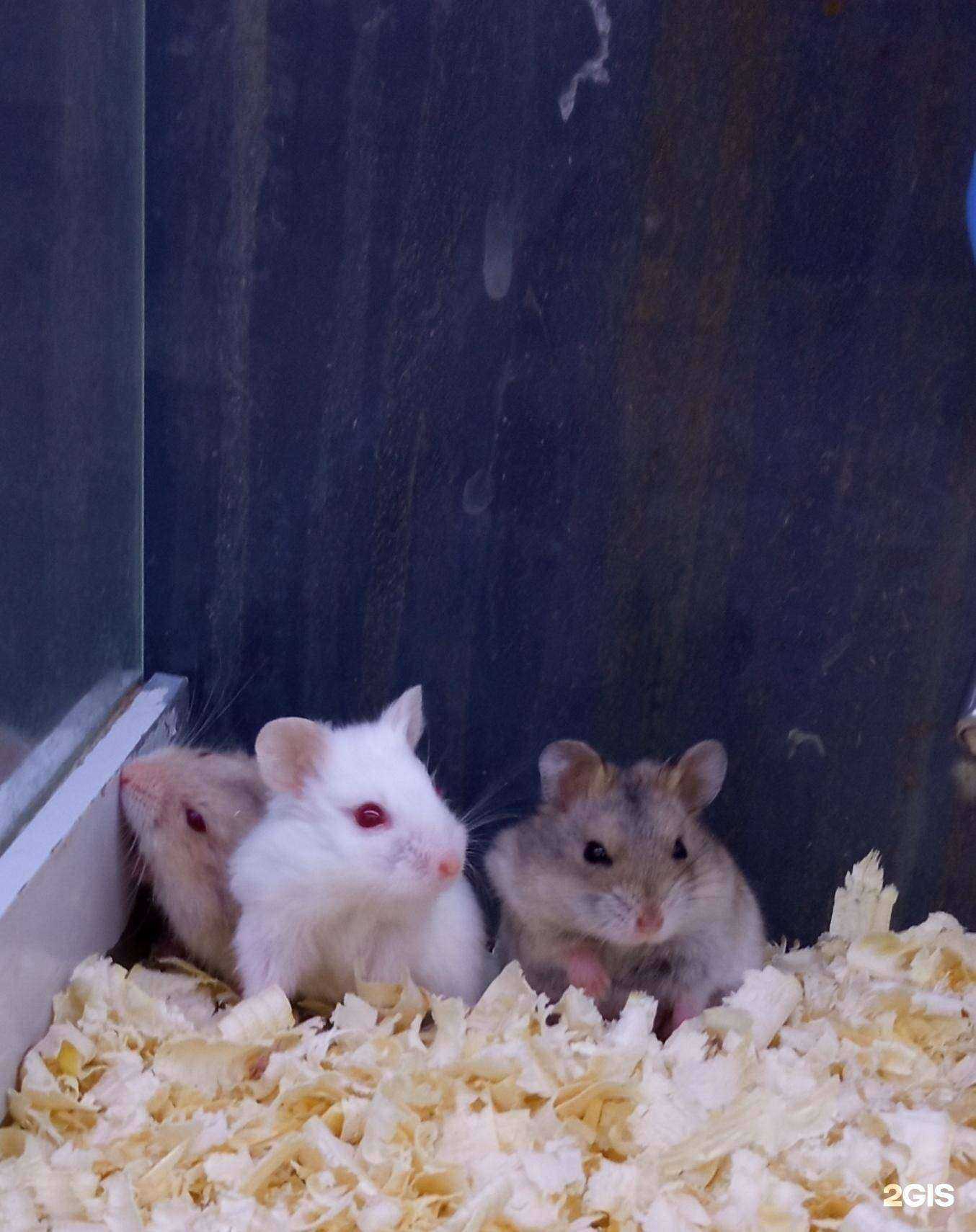 Отзывы на компанию Бонифаций в Березниках c фото