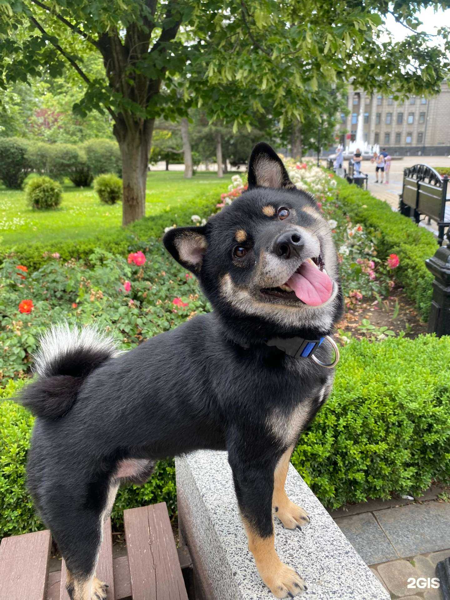 Отзывы на компанию Люкс в Краснодаре c фото