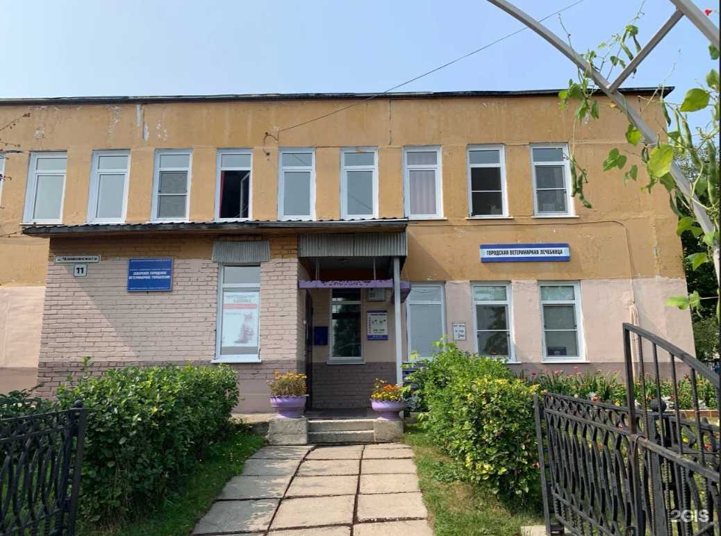 Отзывы на компанию Северское городское ветеринарное управление в Северске c фото