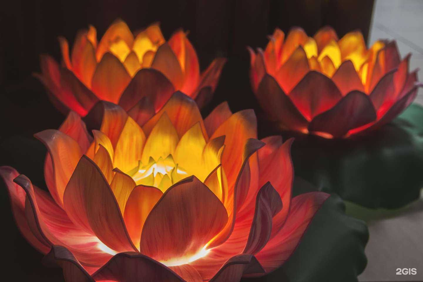 Отзывы на компанию Sun thai в Краснодаре c фото