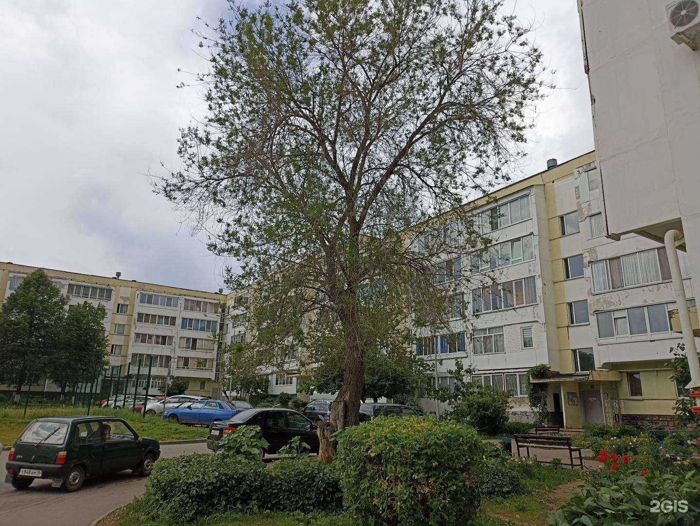 Отзывы на компанию Коллегия адвокатов в Елабуге c фото - фотография 2 из 2