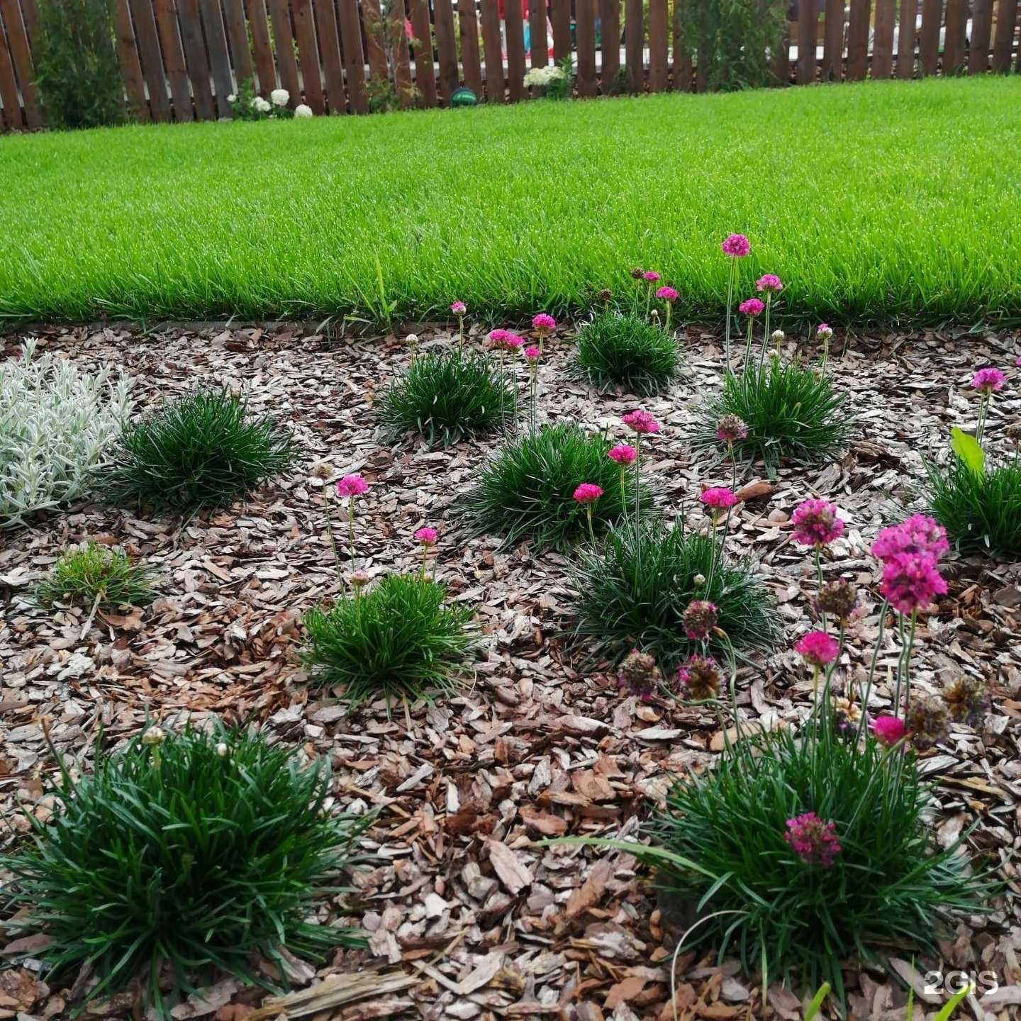 Отзывы на компанию Садовый центр Родионовых в г. Омск c фото