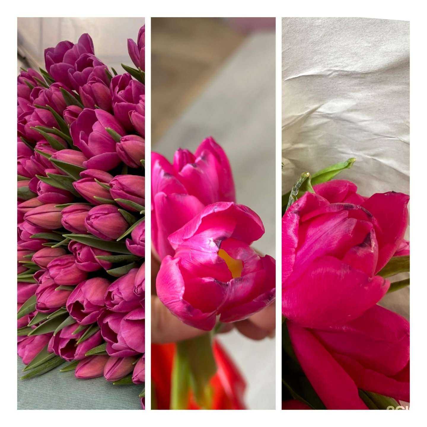 Отзывы на компанию Flori в Новосибирске c фото