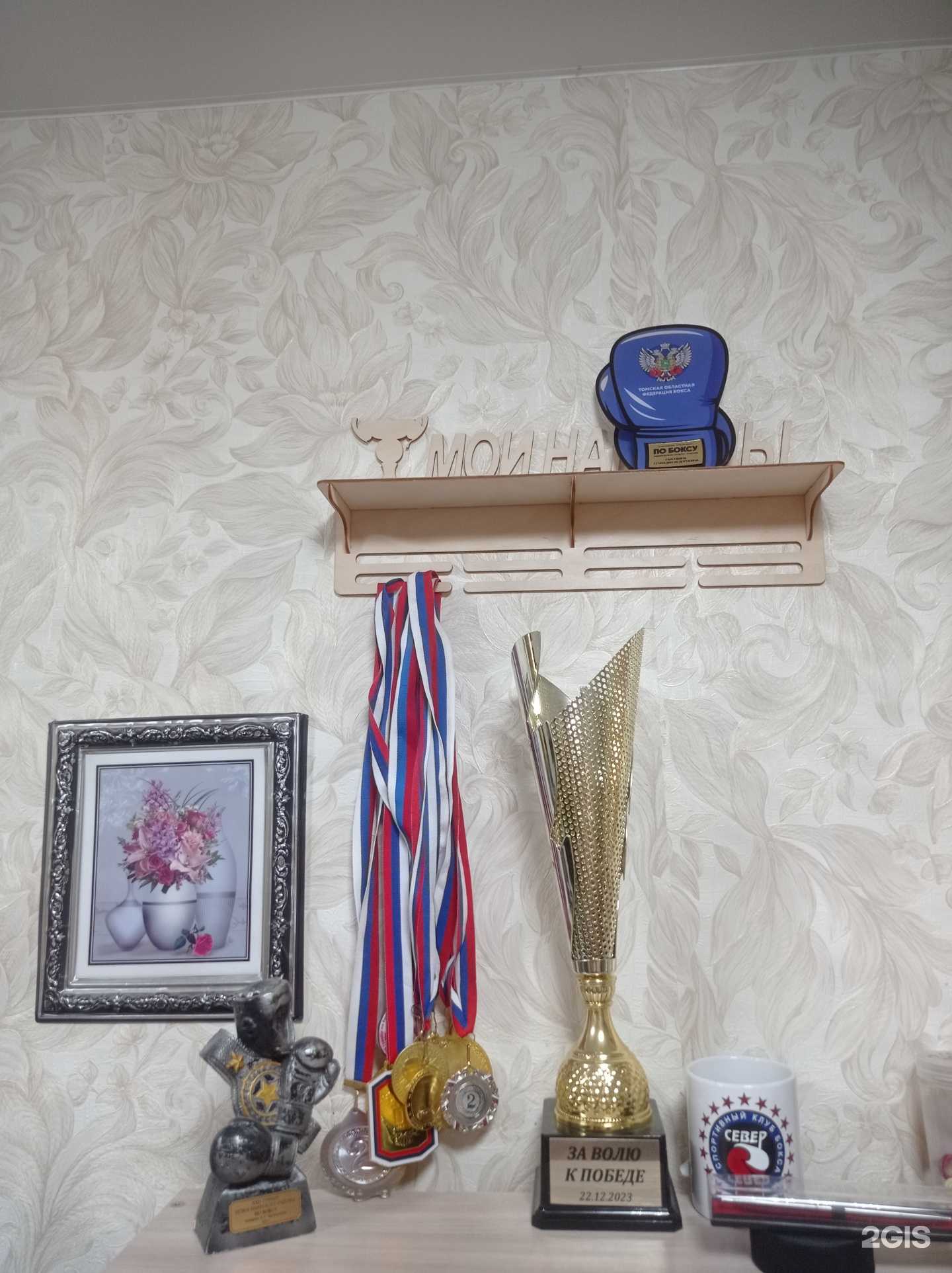 Отзывы на компанию СШОР по боксу в г. Новосибирск c фото