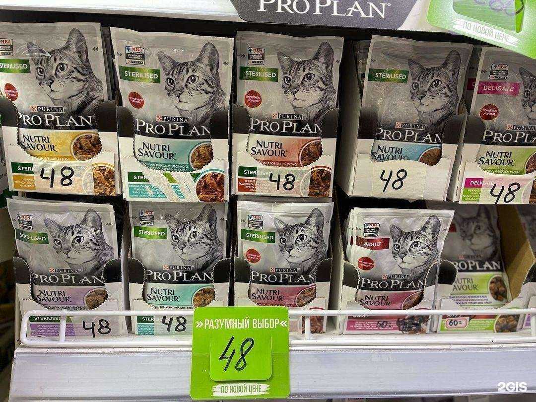 Отзывы на компанию Зоомаг в Альметьевске c фото