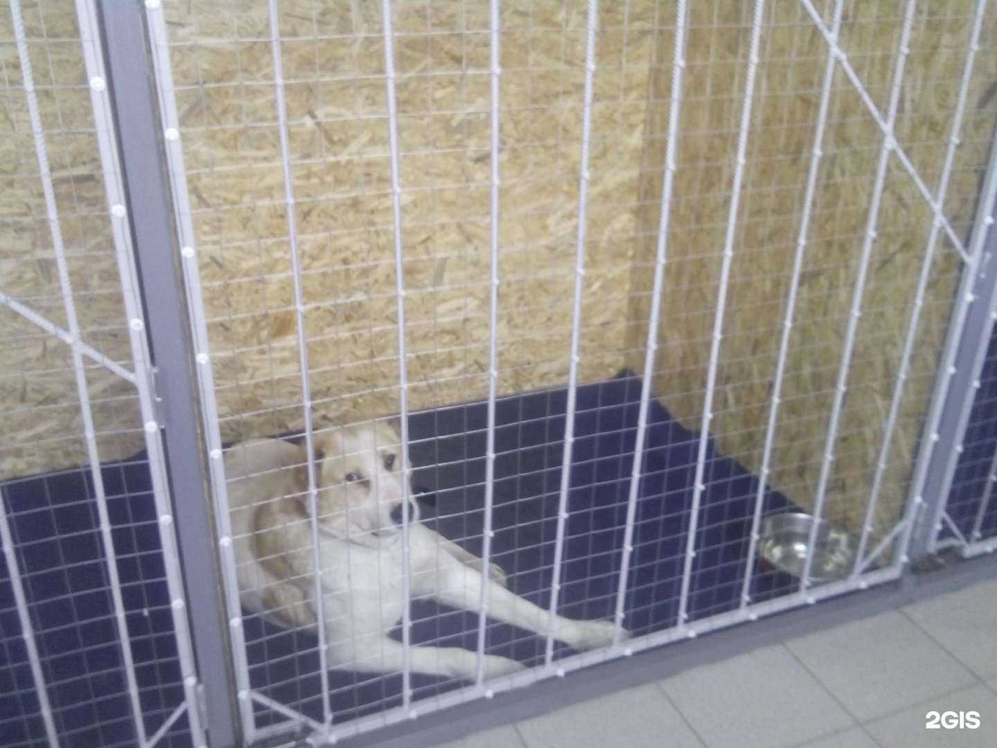 Отзывы на компанию Империя верности в г. Сургут c фото