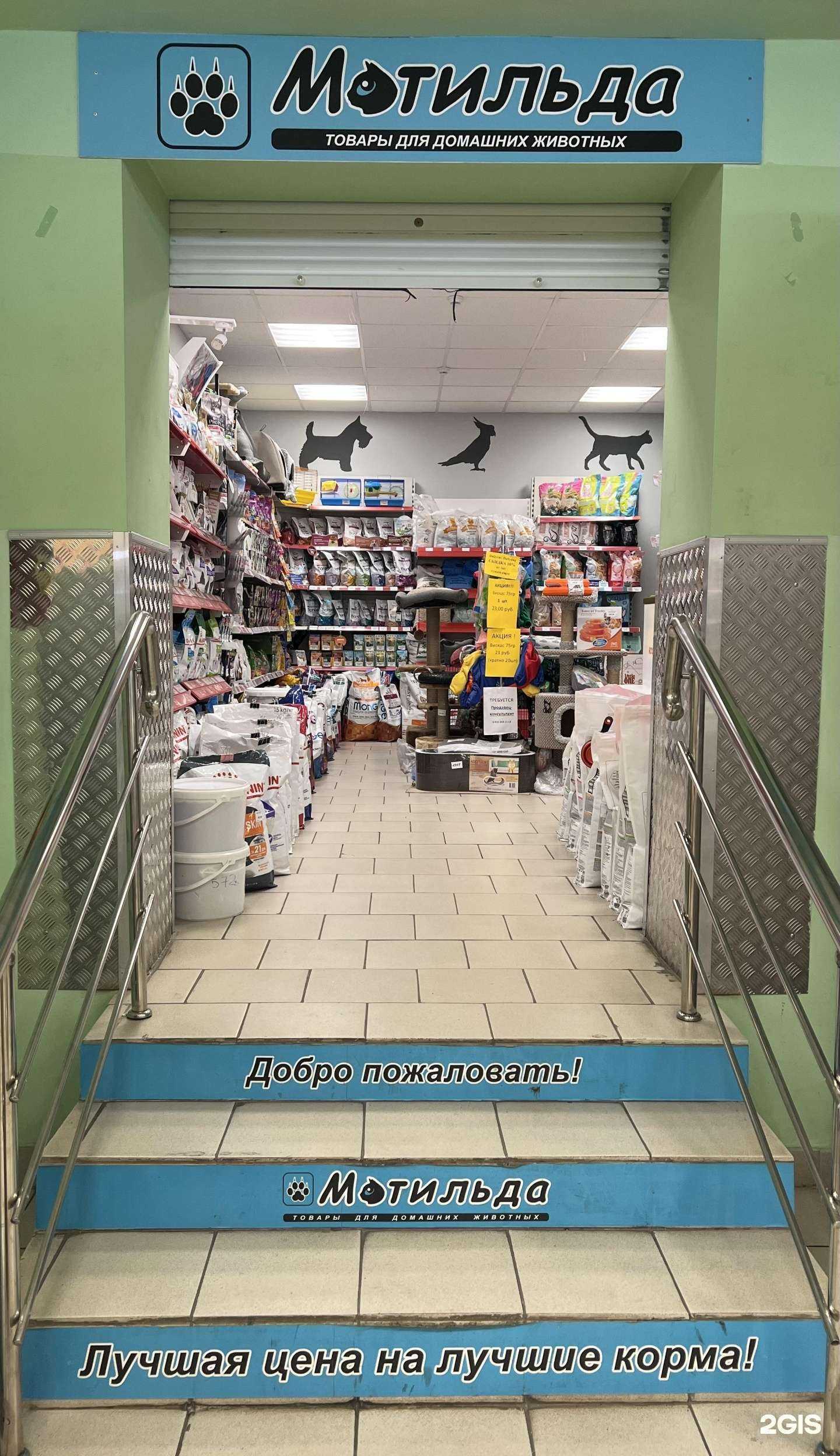 Отзывы на компанию Матильда в г. Магнитогорск c фото