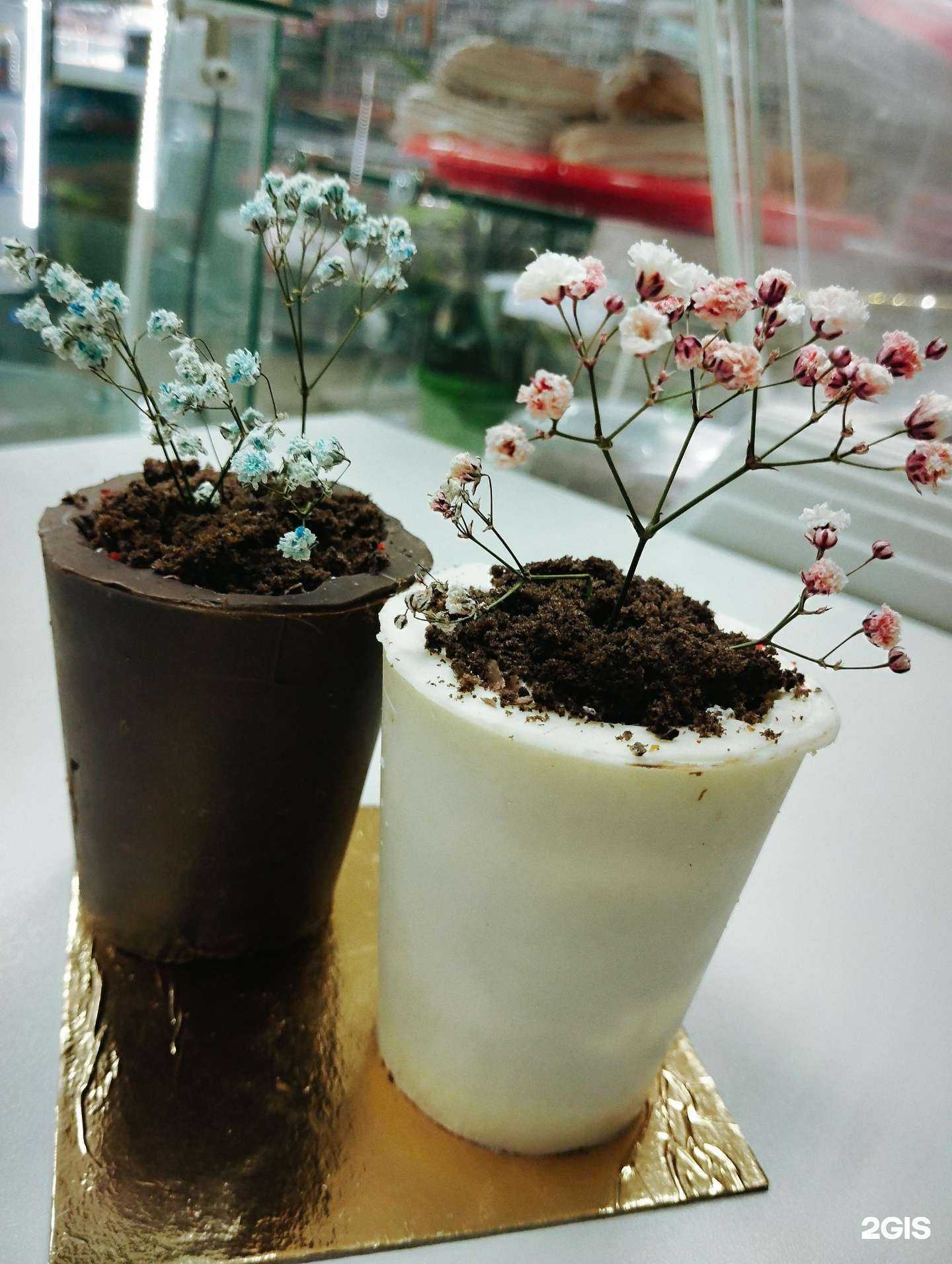 Отзывы на компанию Моя Булочка в г. Комсомольск-на-Амуре c фото