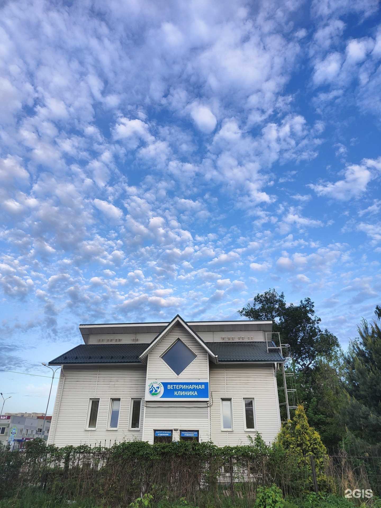 Отзывы на компанию Доктор Вет в Новосибирске c фото - фотография 2 из 2