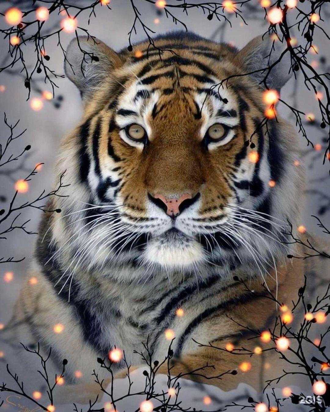 Отзывы на компанию Мисс По в г. Мурманск c фото