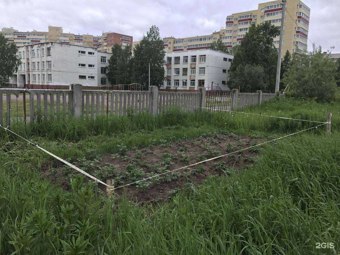 Отзывы на компанию Средняя школа №6 в г. Северодвинск c фото