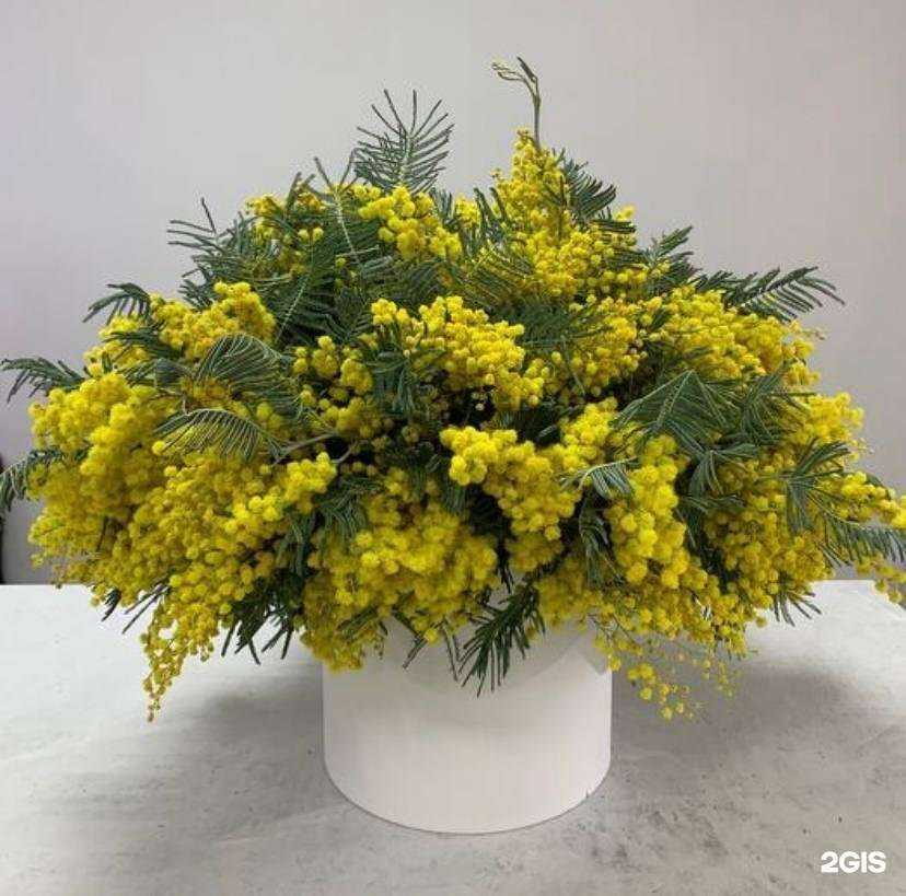 Отзывы на компанию Mattiol в Омске c фото