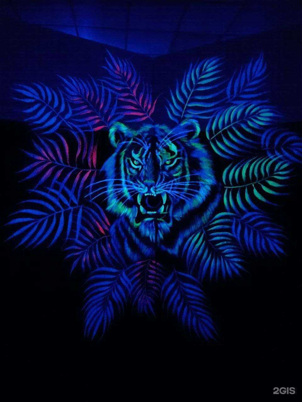 Отзывы на компанию Ultima в Нефтекамске c фото