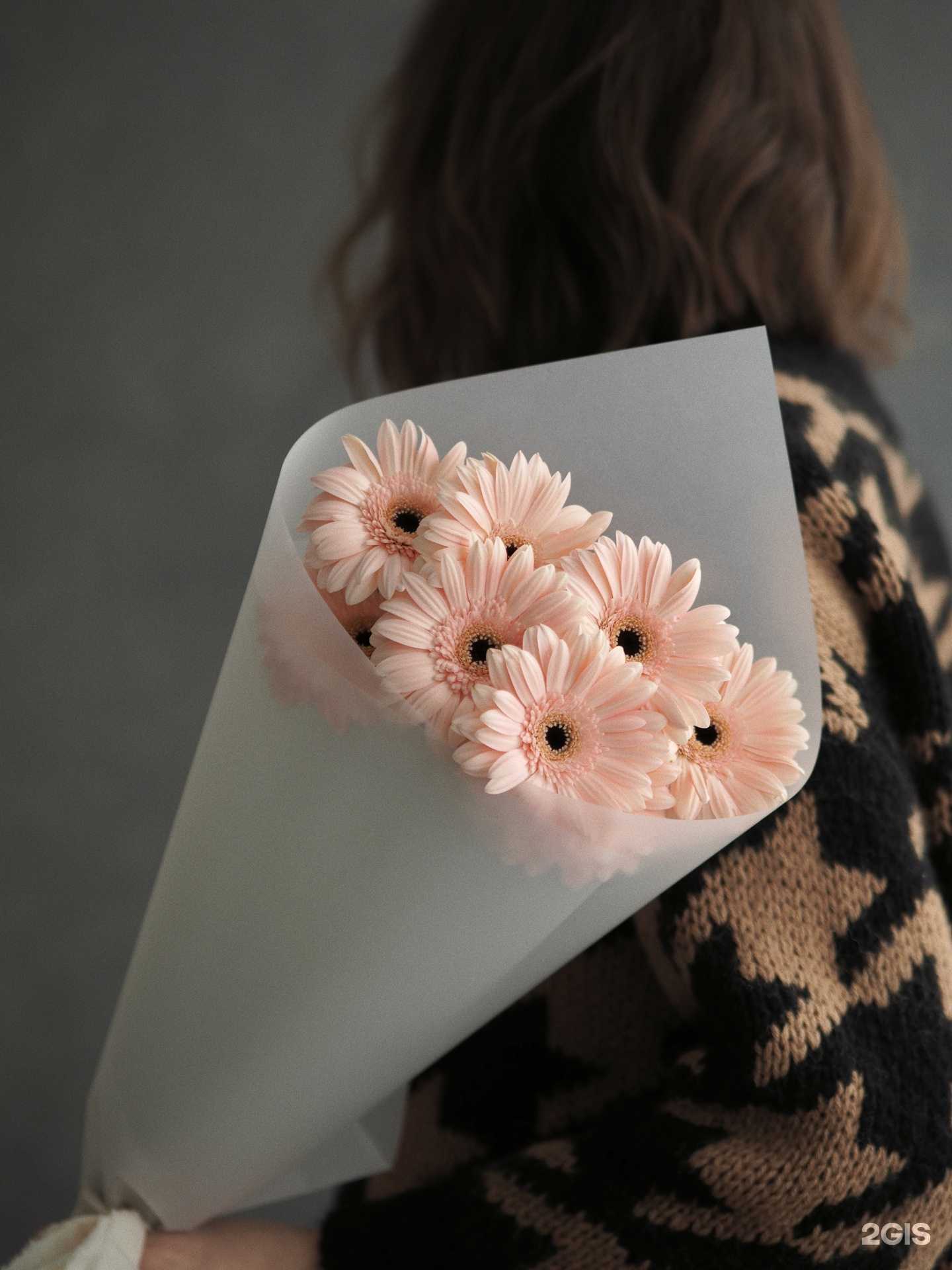 Отзывы на компанию Maison Cassiopée в Ярославле c фото