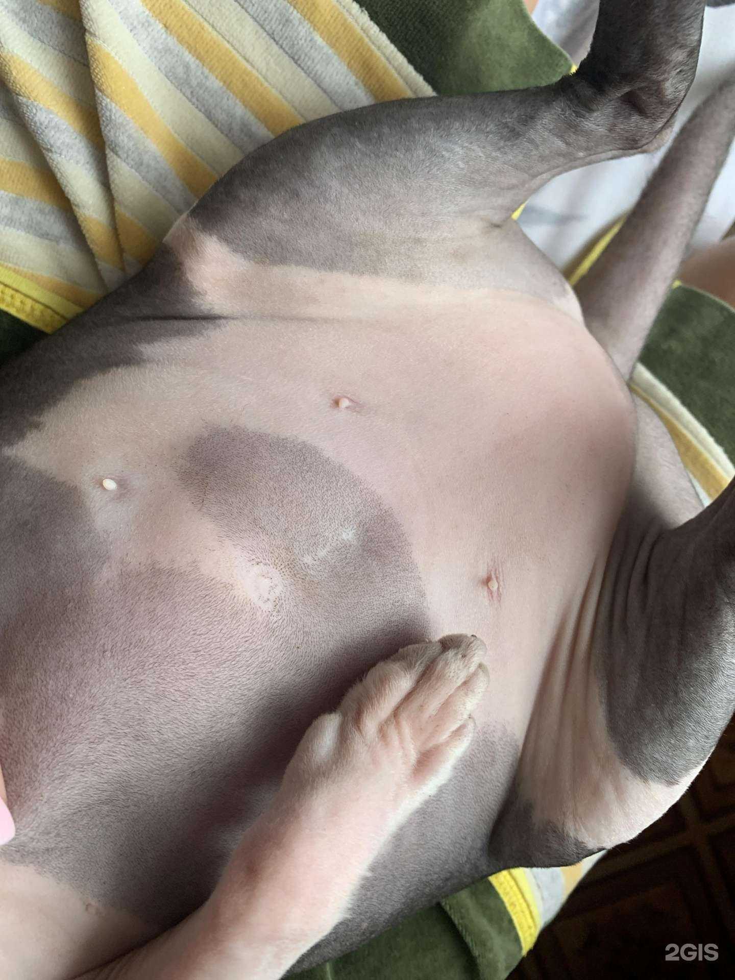 Отзывы на компанию Черкасовский в Киселёвске c фото