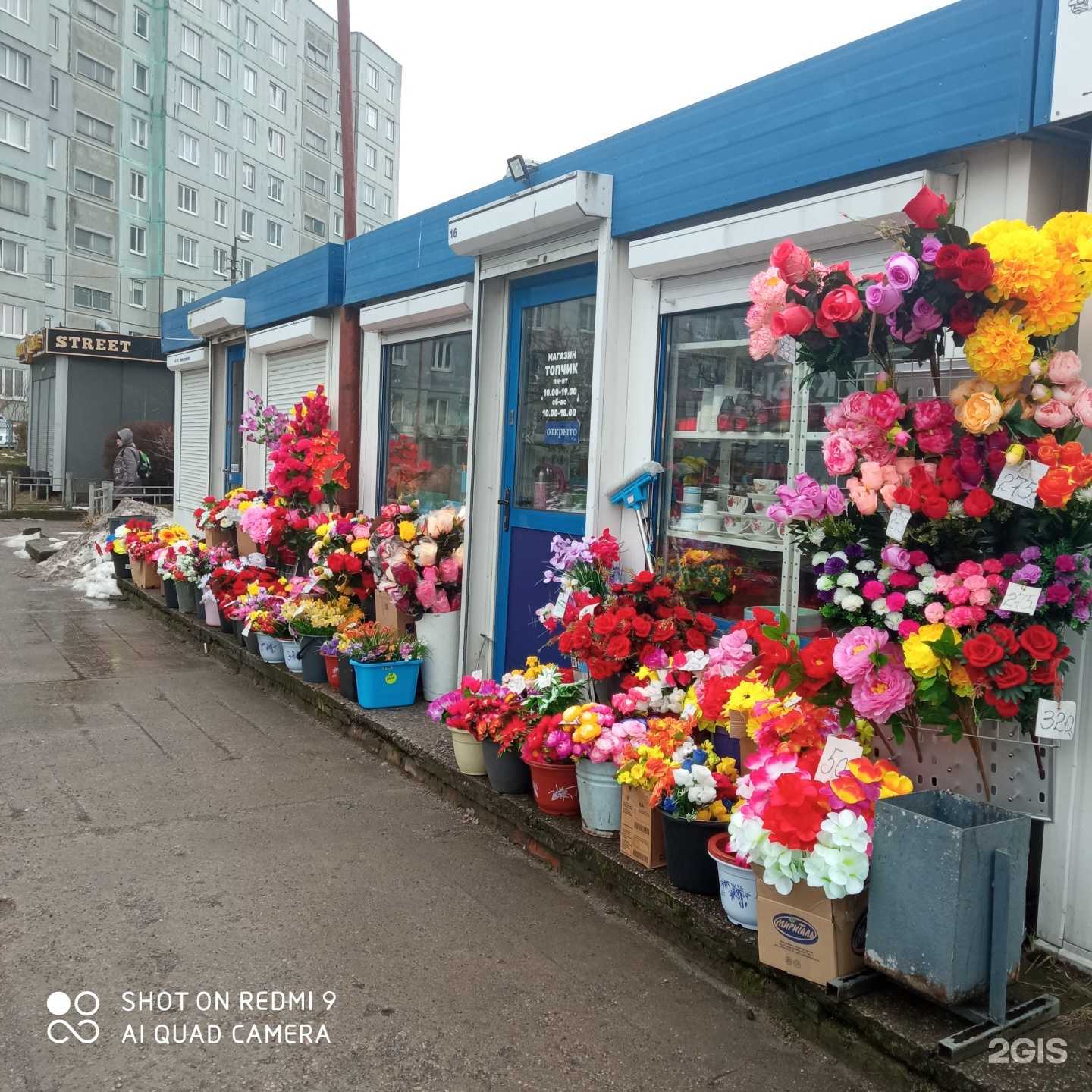 Отзывы на компанию Кедр в Калининграде c фото