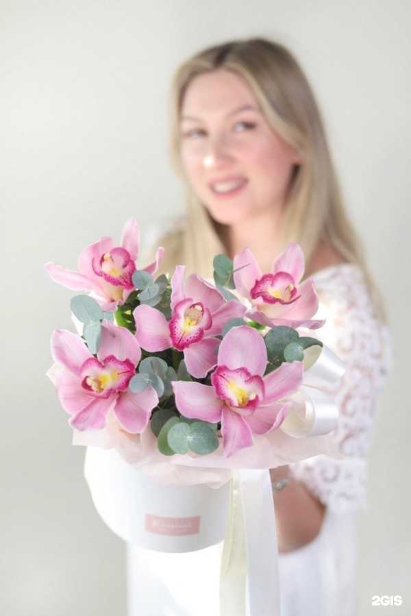 Отзывы на компанию Фестиваль в г. Казань c фото