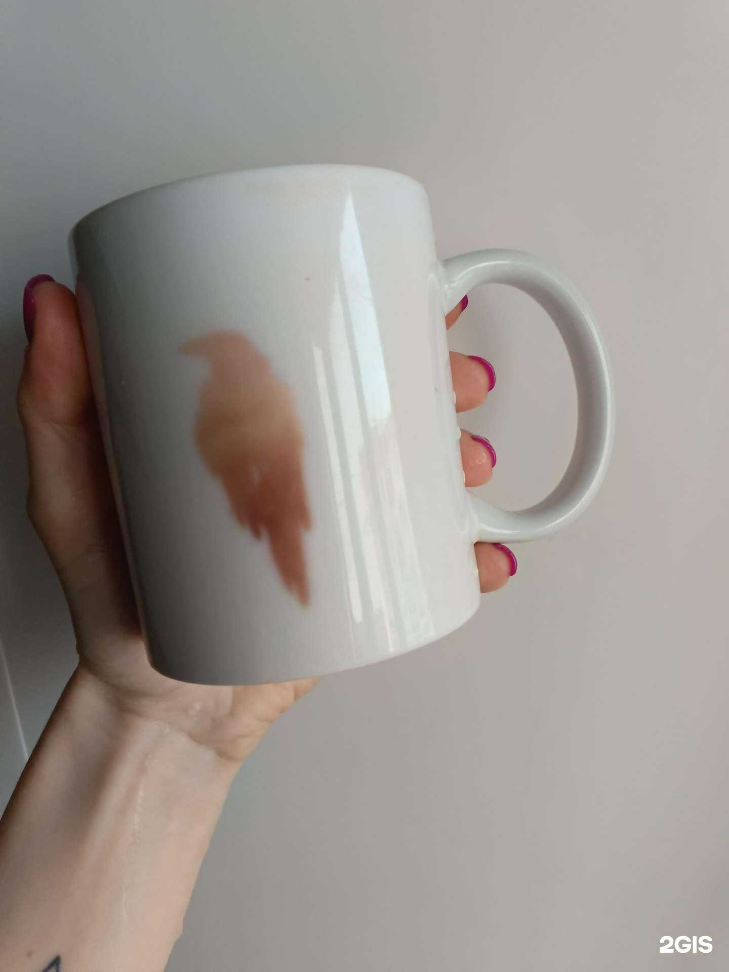 Отзывы на компанию Колор в Липецке c фото