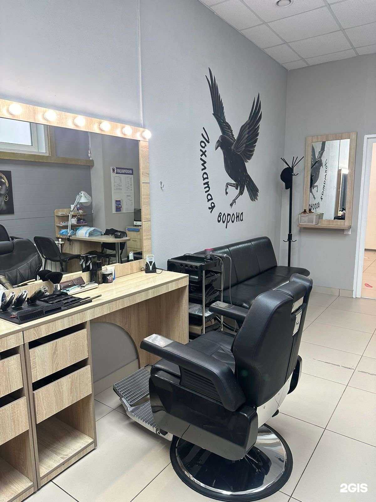 Отзывы на компанию Лохматая ворона в Барнауле c фото