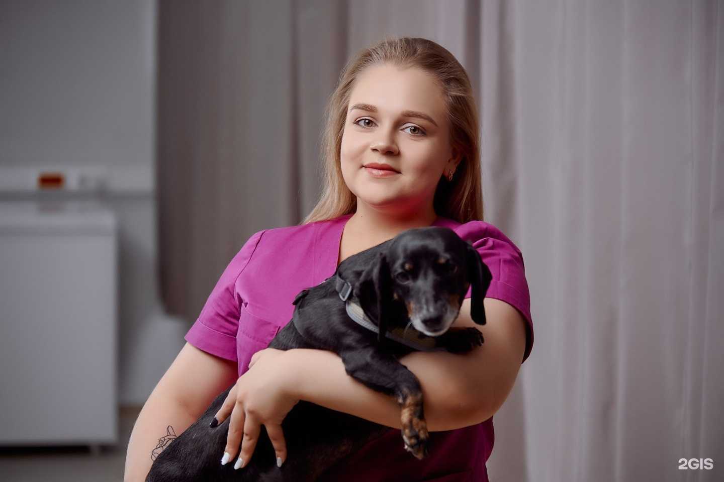 Отзывы на компанию Зоомакс в г. Челябинск c фото