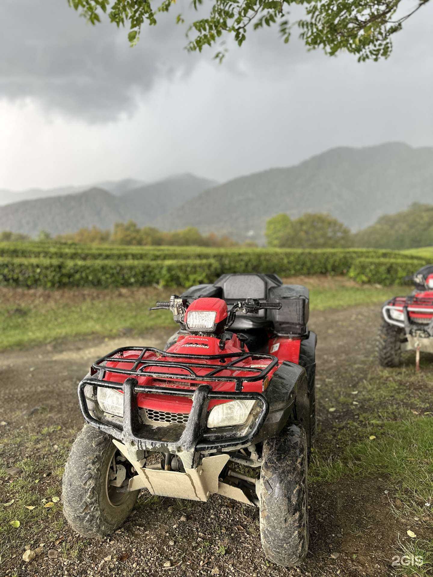 Отзывы на компанию Kvadroturmatsesta в Сочи c фото