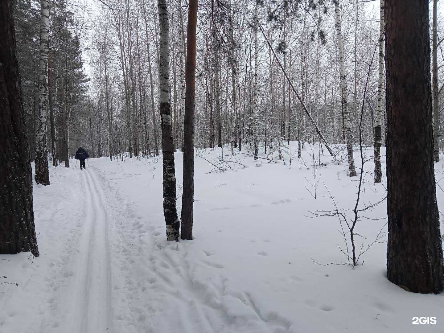 Отзывы на компанию Спортивная школа №19 в Екатеринбурге c фото - фотография 2 из 2