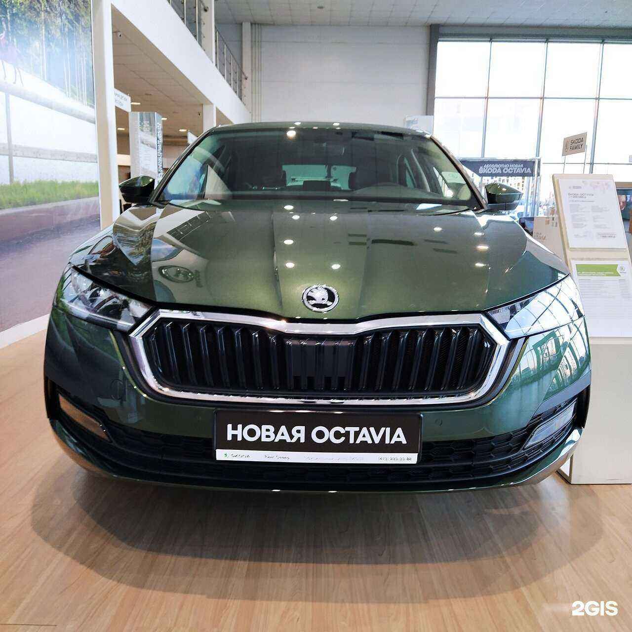 Отзывы на компанию Ринг Север в Воронеже c фото