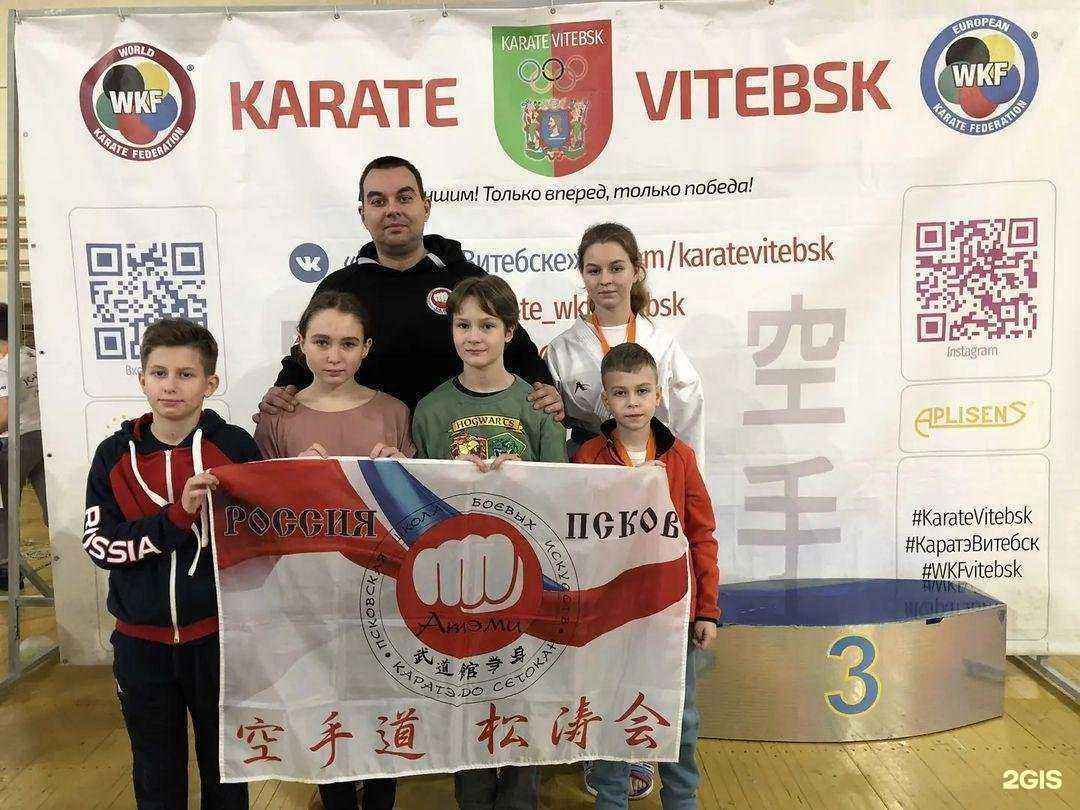 Отзывы на компанию Будокан Атэми в Пскове c фото