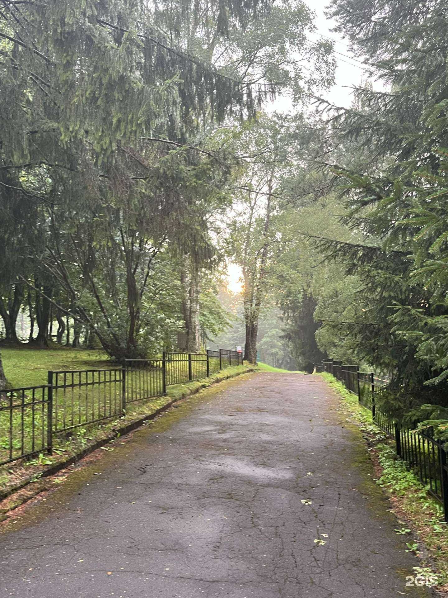 Отзывы на компанию Паруса Надежды в г. Светлогорск c фото