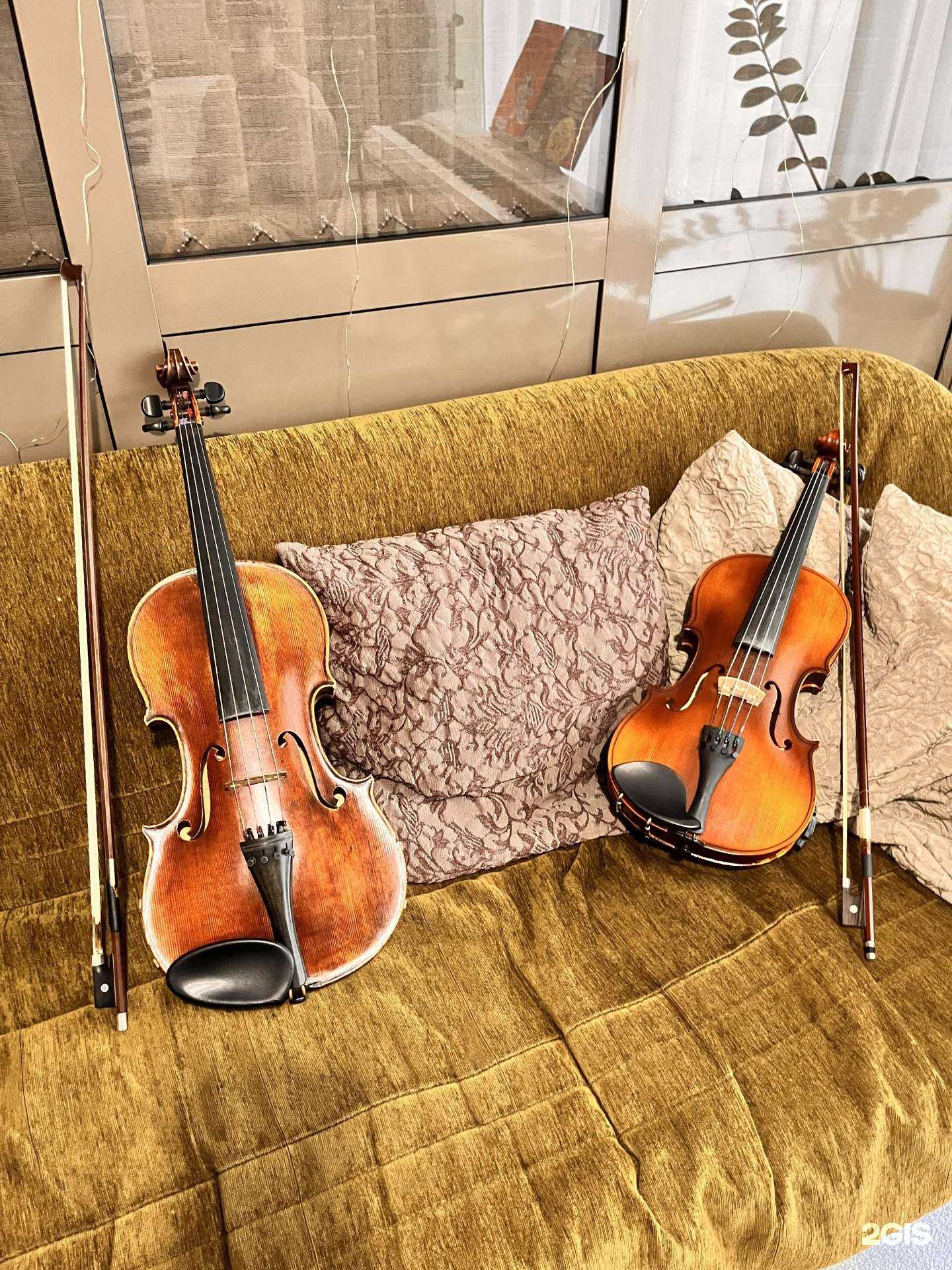 Отзывы на компанию В Мажоре в Новосибирске c фото