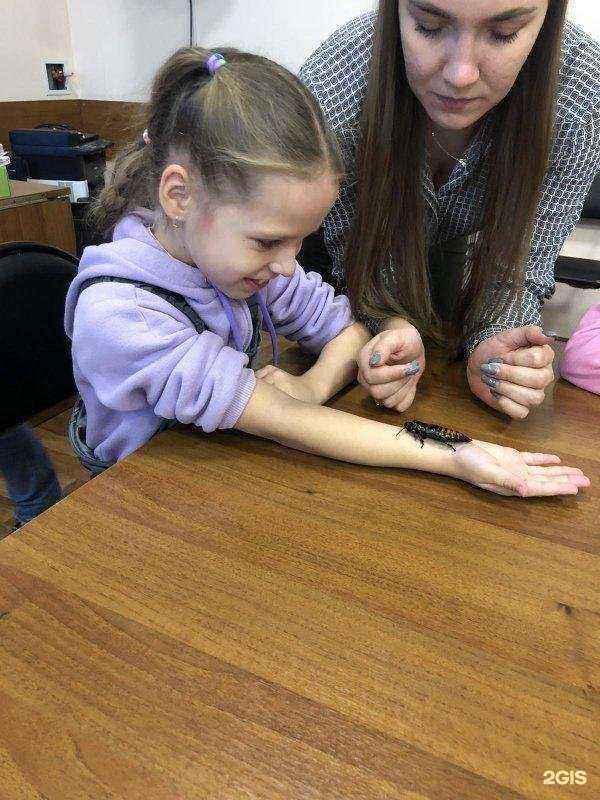 Отзывы на компанию Средняя школа №137 в Красноярске c фото