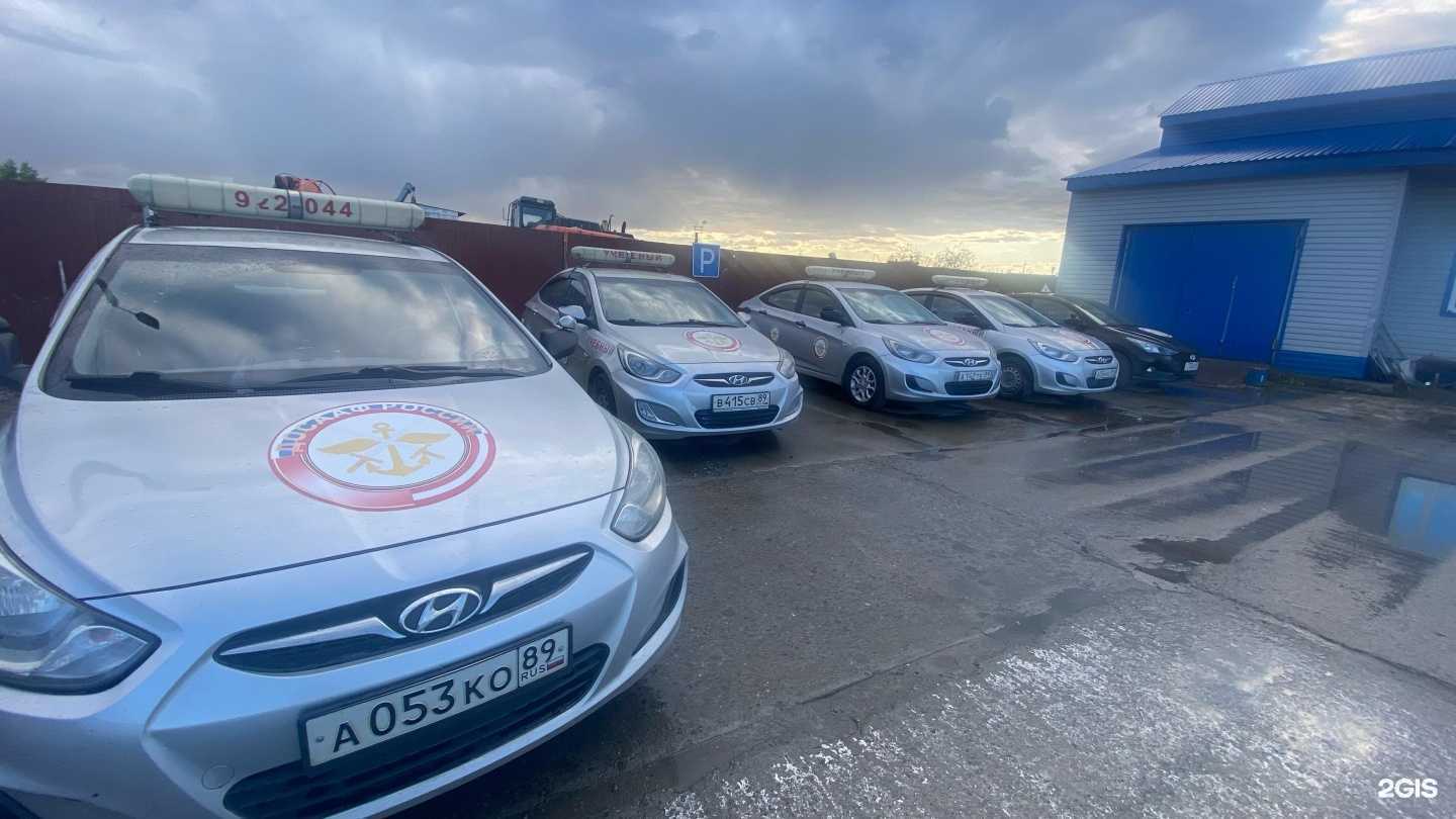 Отзывы на компанию МО ДОСААФ России в г. Новый Уренгой c фото