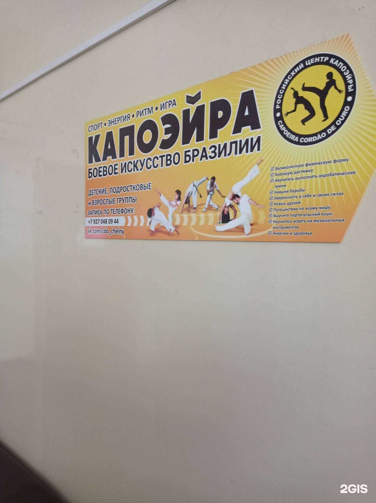 Отзывы на компанию Российский центр капоэйры в г. Набережные Челны c фото