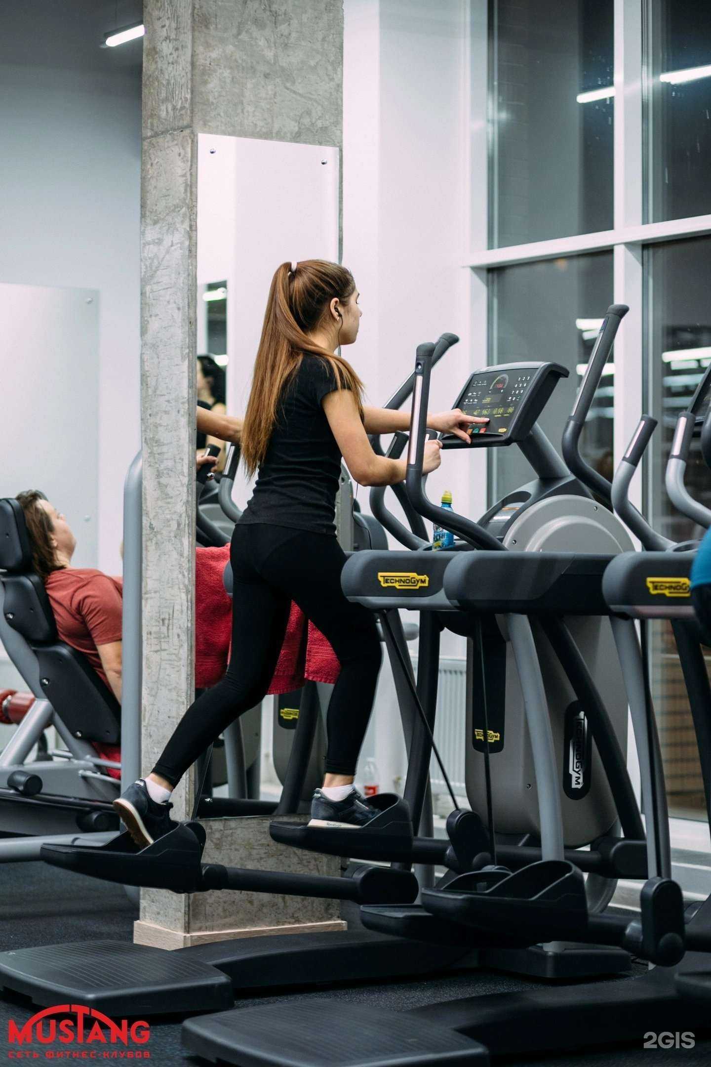 Отзывы на компанию Mustang в г. Новочебоксарск c фото