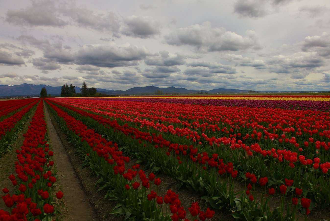 Отзывы на компанию Радуга в г. Нижний Новгород c фото