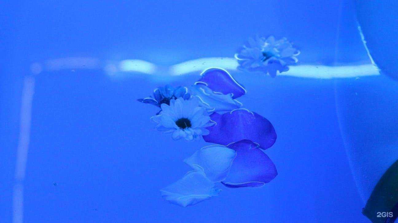 Отзывы на компанию Погружение в г. Чита c фото