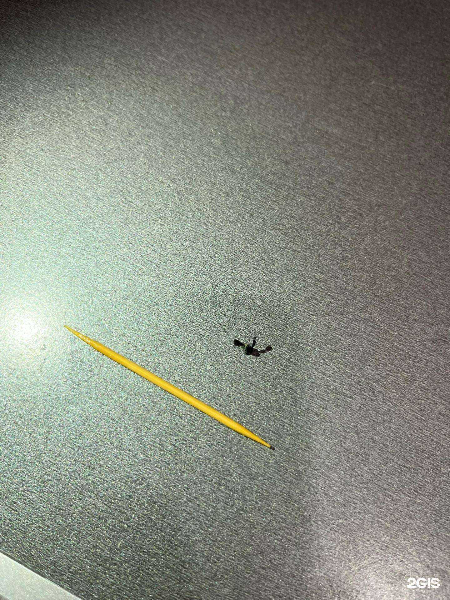 Отзывы на компанию Орион-дента в Красноярске c фото