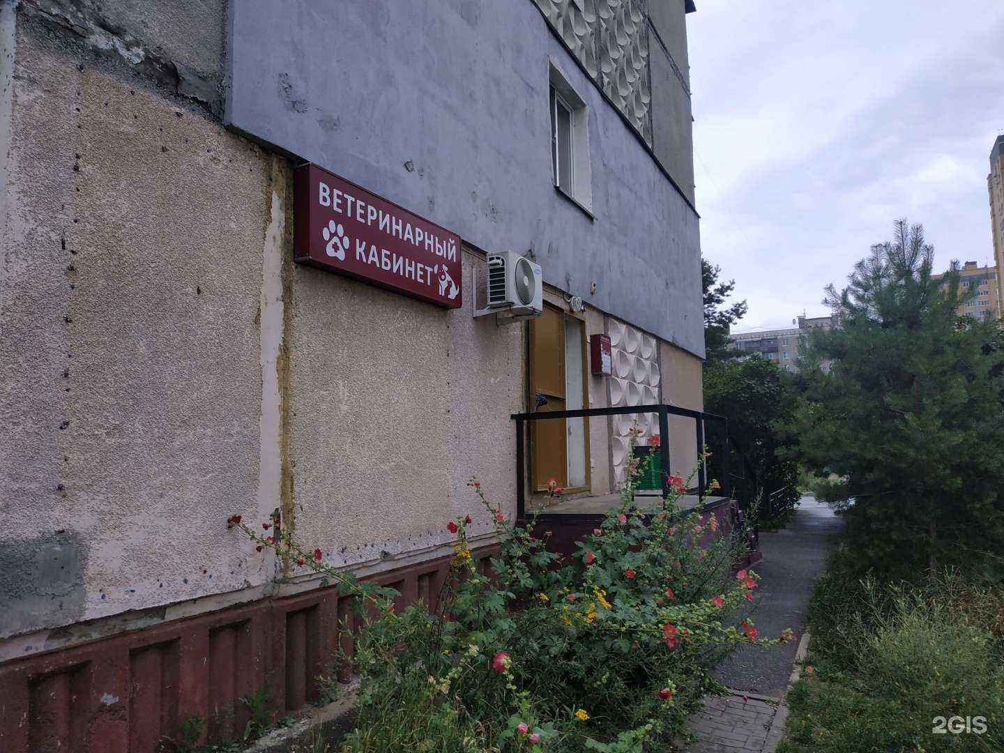 Отзывы на компанию InVet в г. Нижний Новгород c фото