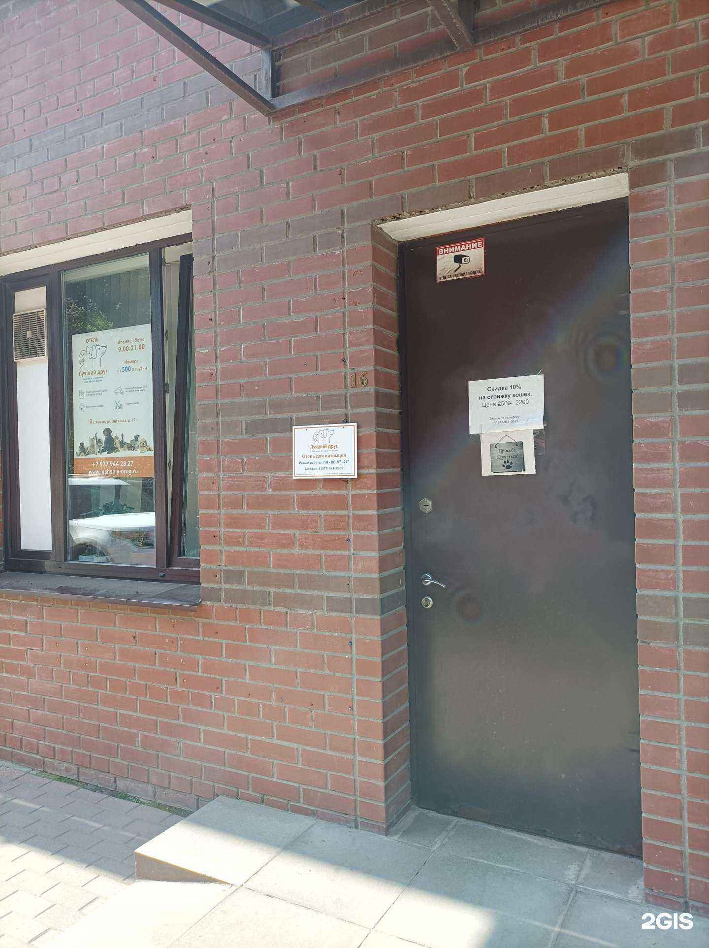 Отзывы на компанию Лучший друг в Химках c фото