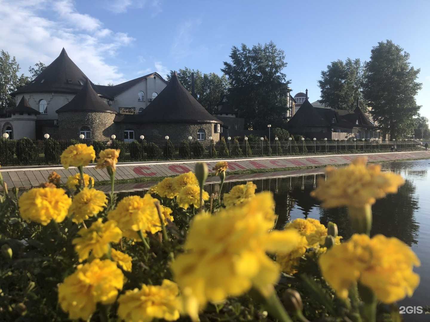 Отзывы на компанию VIP в Саранске c фото