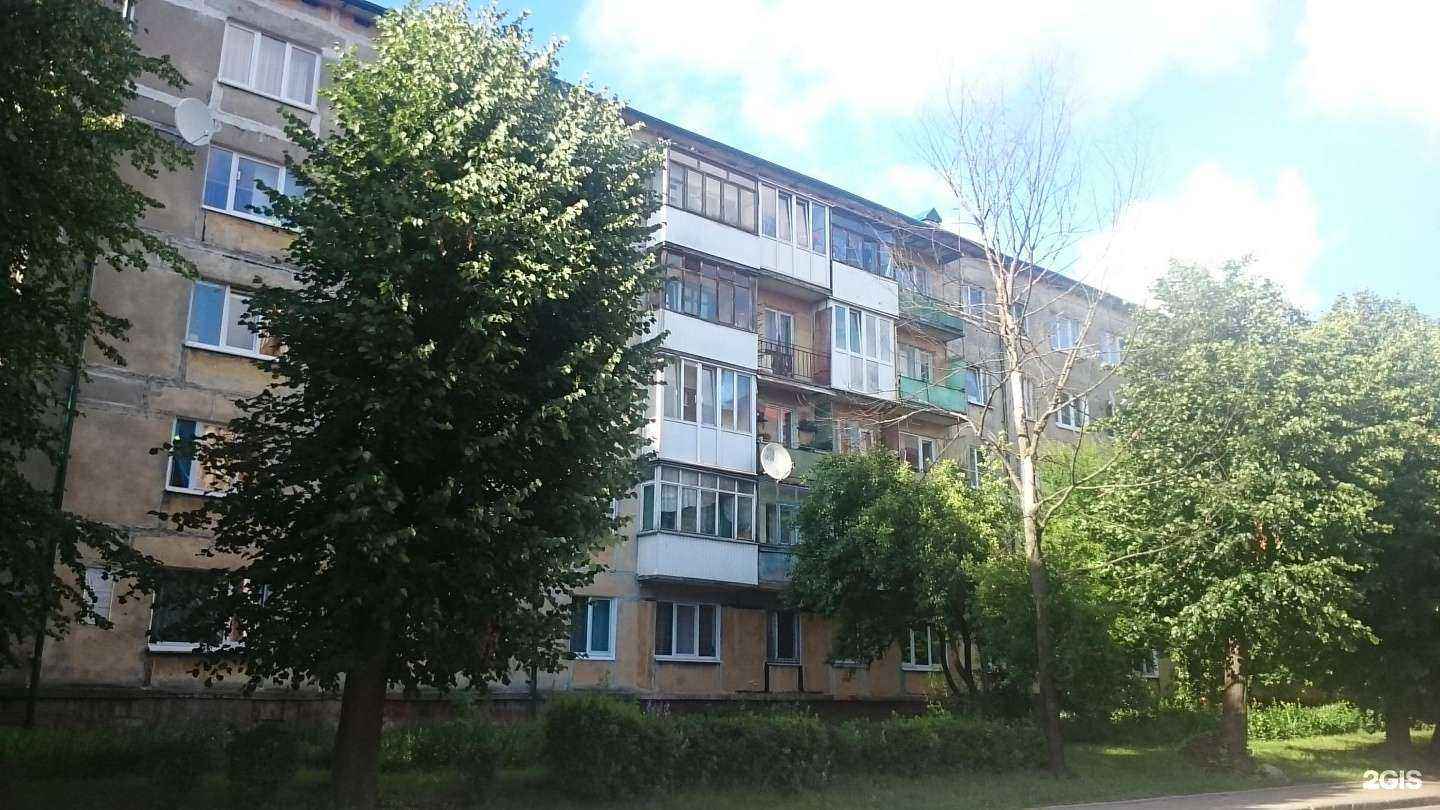 Отзывы на компанию Добрыня в Калининграде c фото - фотография 2 из 2